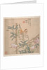 Two Birds Perched on a Flowering Rose Bush, late 19th century by Ren Yi