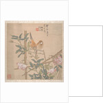 Two Birds Perched on a Flowering Rose Bush, late 19th century by Ren Yi
