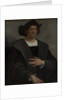 Portrait of a Man, Said to be Christopher Columbus, 1519 by Sebastiano del Piombo