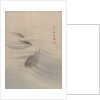 Fishes, ca. 1890-92 by Seki Shuko
