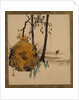 Lacquer Paintings of Various Subjects: Snow Shelter for a Tree with Sparrow, 1882 by Shibata Zeshin