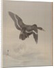Flying Goose, ca. 1887 by Watanabe Seitei