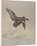 Flying Goose, ca. 1887 by Watanabe Seitei