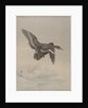 Flying Goose, ca. 1887 by Watanabe Seitei