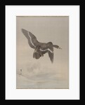 Flying Goose, ca. 1887 by Watanabe Seitei