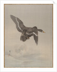 Flying Goose, ca. 1887 by Watanabe Seitei
