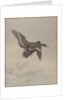 Flying Goose, ca. 1887 by Watanabe Seitei