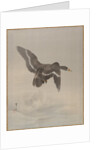 Flying Goose, ca. 1887 by Watanabe Seitei