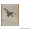 Flying Goose, ca. 1887 by Watanabe Seitei