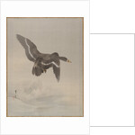 Flying Goose, ca. 1887 by Watanabe Seitei