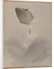 Jumping fish, ca. 1887 by Watanabe Seitei