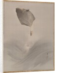 Jumping fish, ca. 1887 by Watanabe Seitei