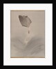 Jumping fish, ca. 1887 by Watanabe Seitei