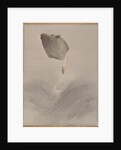 Jumping fish, ca. 1887 by Watanabe Seitei