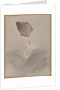 Jumping fish, ca. 1887 by Watanabe Seitei