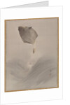 Jumping fish, ca. 1887 by Watanabe Seitei