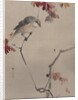Bird on Branch Watching Spider, ca. 1887 by Watanabe Seitei