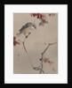 Bird on Branch Watching Spider, ca. 1887 by Watanabe Seitei