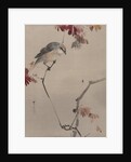 Bird on Branch Watching Spider, ca. 1887 by Watanabe Seitei