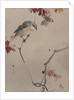 Bird on Branch Watching Spider, ca. 1887 by Watanabe Seitei
