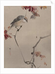 Bird on Branch Watching Spider, ca. 1887 by Watanabe Seitei