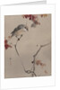 Bird on Branch Watching Spider, ca. 1887 by Watanabe Seitei