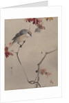 Bird on Branch Watching Spider, ca. 1887 by Watanabe Seitei