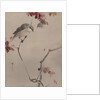 Bird on Branch Watching Spider, ca. 1887 by Watanabe Seitei