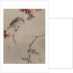 Bird on Branch Watching Spider, ca. 1887 by Watanabe Seitei
