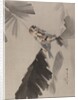 Three Birds on Branch, ca. 1887 by Watanabe Seitei