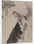 Three Birds on Branch, ca. 1887 by Watanabe Seitei