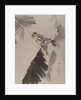 Three Birds on Branch, ca. 1887 by Watanabe Seitei