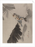 Three Birds on Branch, ca. 1887 by Watanabe Seitei