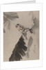 Three Birds on Branch, ca. 1887 by Watanabe Seitei