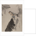 Three Birds on Branch, ca. 1887 by Watanabe Seitei