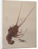 Crayfish, ca. 1887 by Watanabe Seitei