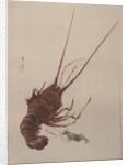 Crayfish, ca. 1887 by Watanabe Seitei