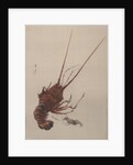 Crayfish, ca. 1887 by Watanabe Seitei