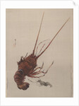 Crayfish, ca. 1887 by Watanabe Seitei