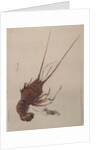 Crayfish, ca. 1887 by Watanabe Seitei