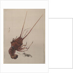 Crayfish, ca. 1887 by Watanabe Seitei