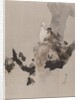 Pigeons in a Tree, ca. 1887 by Watanabe Seitei