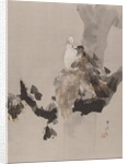 Pigeons in a Tree, ca. 1887 by Watanabe Seitei