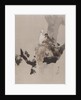 Pigeons in a Tree, ca. 1887 by Watanabe Seitei
