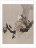Pigeons in a Tree, ca. 1887 by Watanabe Seitei