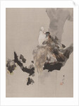 Pigeons in a Tree, ca. 1887 by Watanabe Seitei