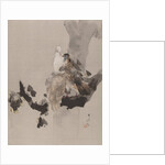 Pigeons in a Tree, ca. 1887 by Watanabe Seitei
