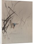 Bird Catching Fish Among Reeds, ca. 1887 by Watanabe Seitei