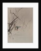 Bird Catching Fish Among Reeds, ca. 1887 by Watanabe Seitei
