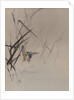 Bird Catching Fish Among Reeds, ca. 1887 by Watanabe Seitei